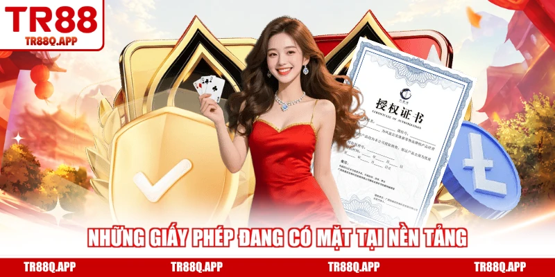 Những giấy phép đang có mặt tại nền tảng 