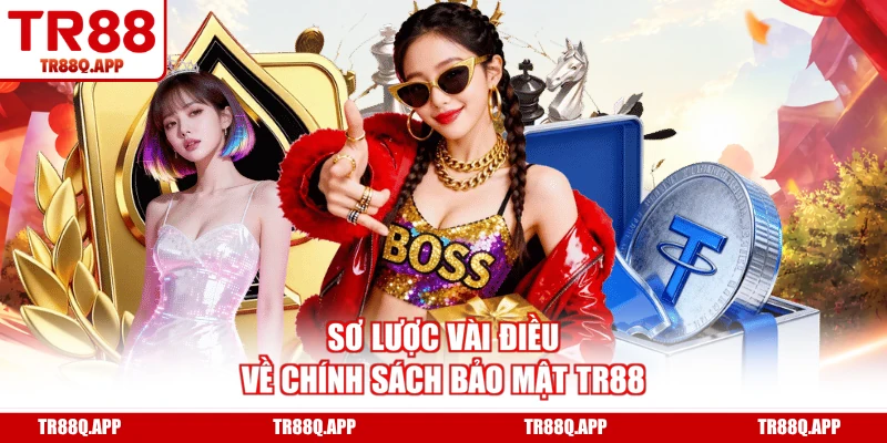 Sơ lược vài điều về chính sách bảo mật TR88